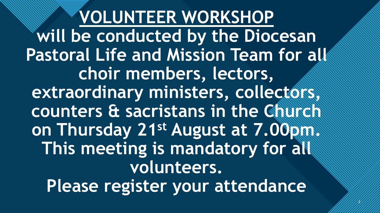 Volunteer workshop August 2025